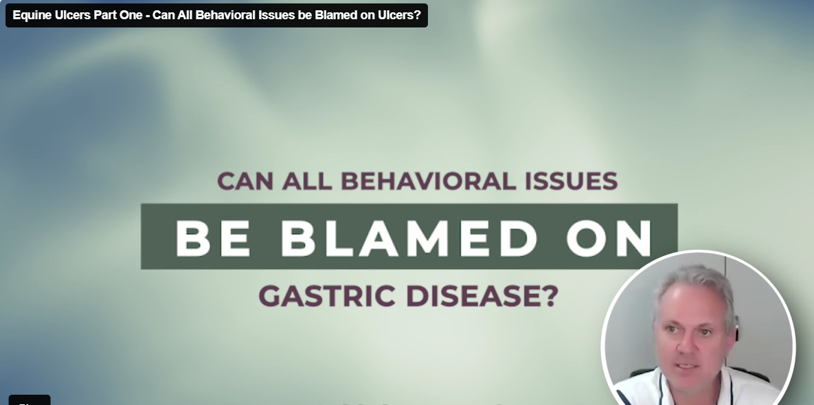 Equine Ulcers Part One – Can All Behavioral Issues Be Blamed on Ulcers