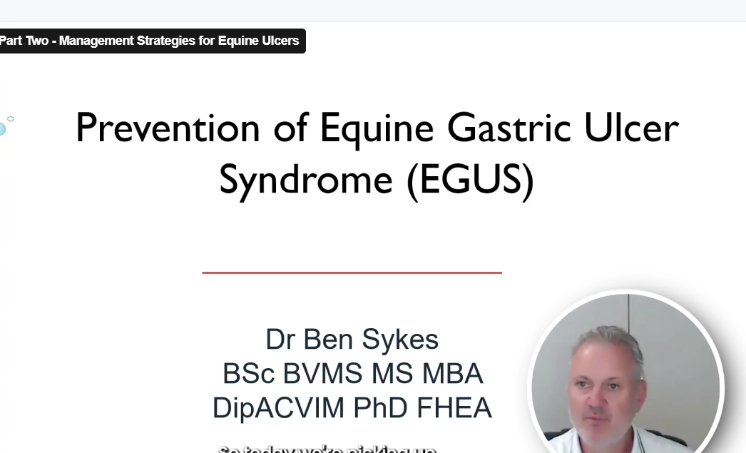 Ulcers Part Two – Management Strategies for Equine Ulcers